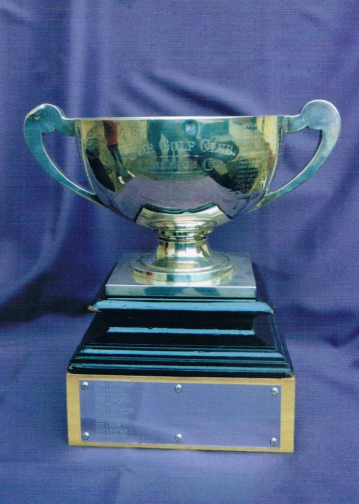 Picture of Hayco Cup